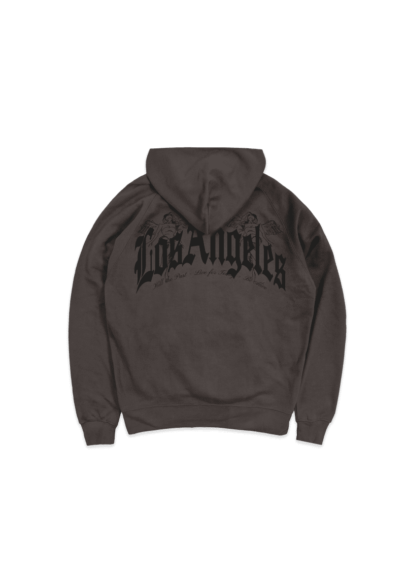 HOMETOWN HOODIE VINTAGE BACK