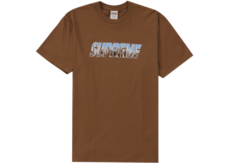 Supreme Gotham Tee Light Brown